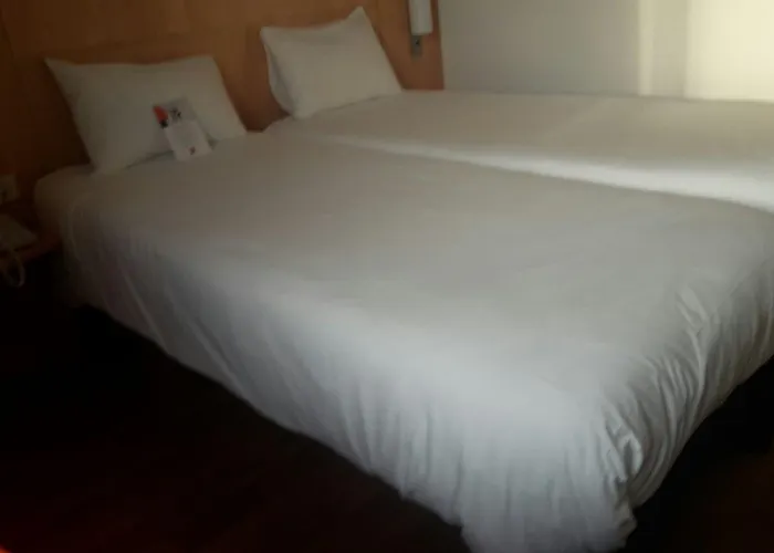 Ibis 3*